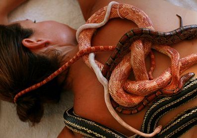 массаж змеями необычные косметические средства 03